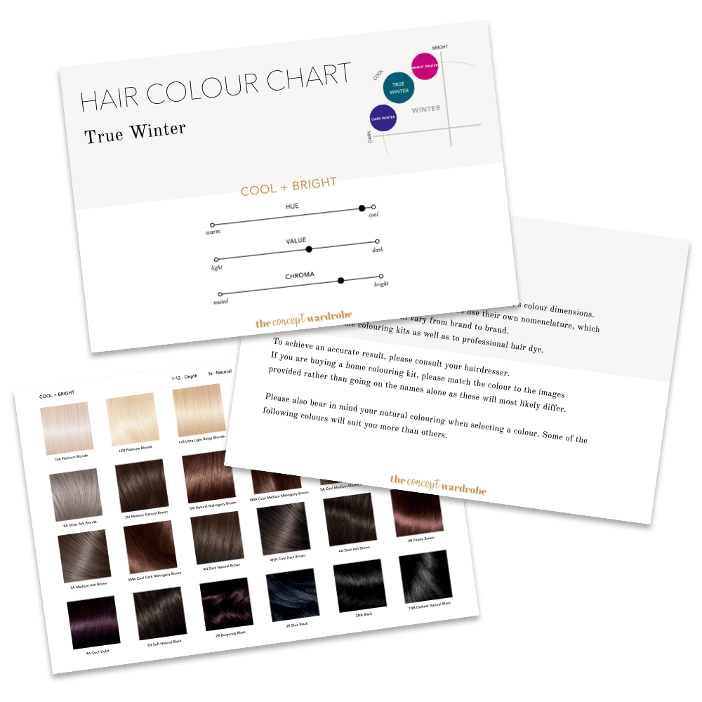 True Winter Hair Colour Chart the concept wardrobe